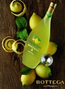 Liqueur : BOTTEGA LIMONCINO (Limoncello)