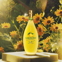 Liqueur : BOTTEGA LIMONCINO (Limoncello)